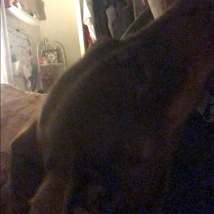 Meet your Posher, Alan